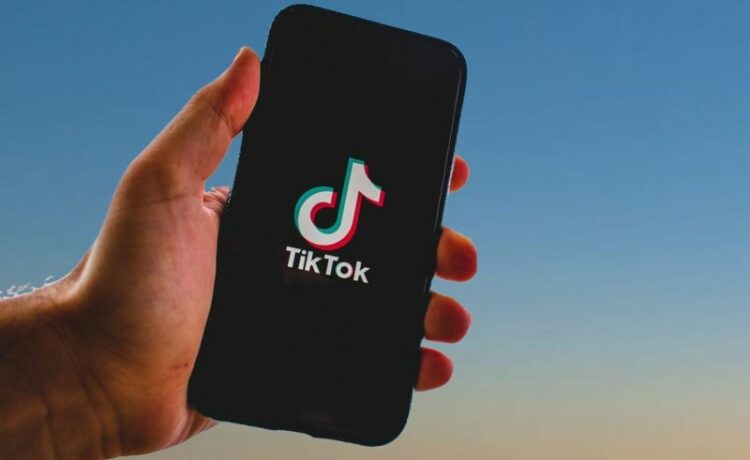 Garante privacy: blocco Tik Tok profili