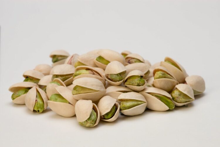 Alimentazione, pistacchi fanno bene al sistema immunitario