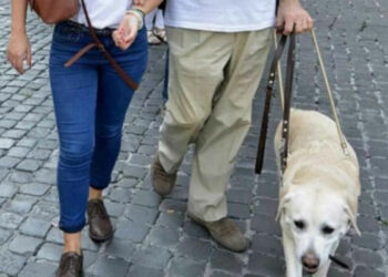 Servizio Civile Uici Ragusa, come fare domanda