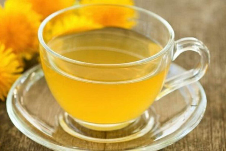 Dimagrire con la tisana piscialetto: ecco la ricetta