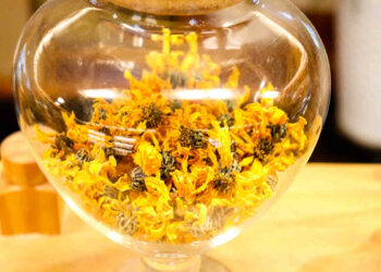 Insonnia: consigli per tisane