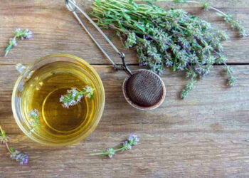 Tisana per digerire contro la digestione lenta