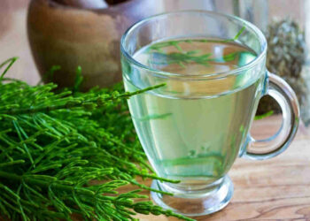 Tisane drenanti ed efficaci