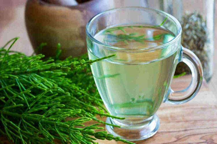 Tisane drenanti ed efficaci