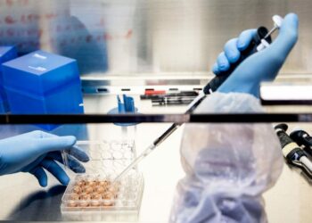 Pillola 2 in 1 contro i vermi intestinali: efficacia superiore al 95%