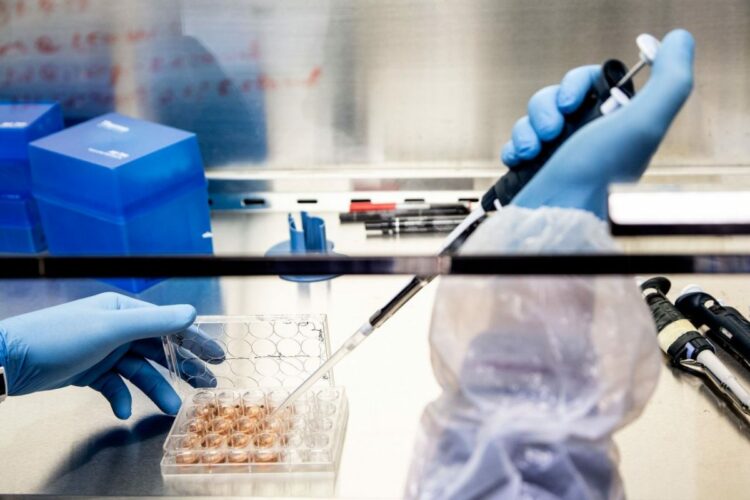 Pillola 2 in 1 contro i vermi intestinali: efficacia superiore al 95%