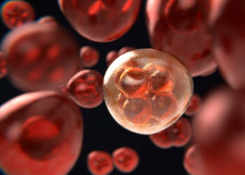 Così si potranno fermare le metastasi del melanoma