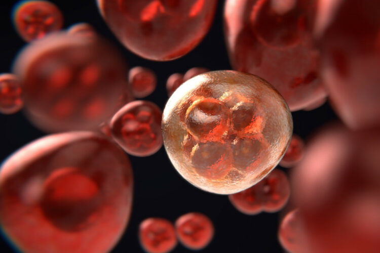 Così si potranno fermare le metastasi del melanoma