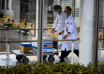 Covid, la nuova variante E484K fa paura