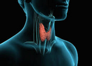 La tiroide e i disturbi tiroidei: i disturbi più comuni