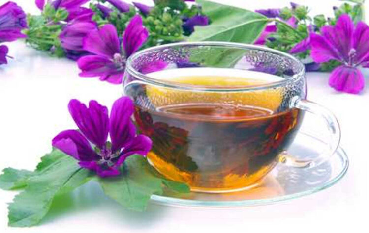Tisana depurative e digestiva invernale: ricetta