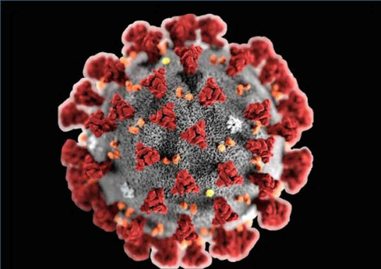 Vaccino Covid, Iss: i vaccini non somministrano il virus