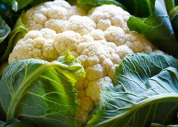 Anemia da malattia renale cronica: con dieta sana si risparmia dialisi