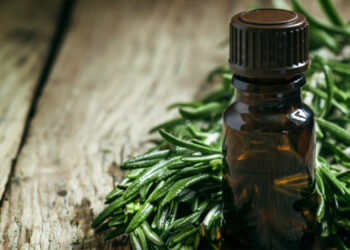 A cosa serve il Tea Tree Oil: usi e proprietà