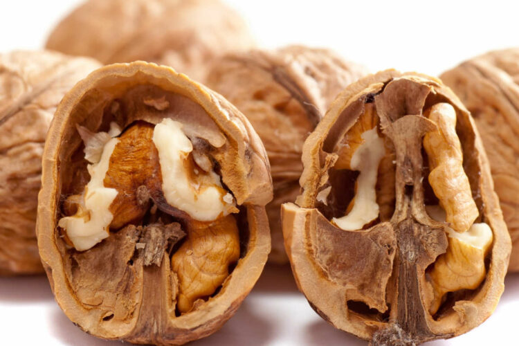 Quante noci al giorno si possono mangiare per la salute del cuore?