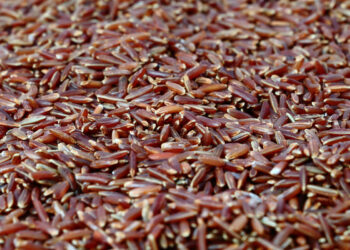 Riso rosso per abbassare il colesterolo cattivo