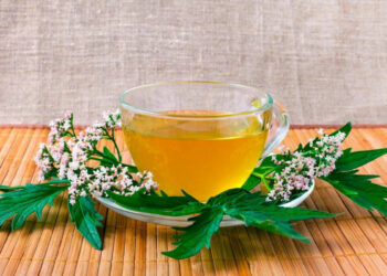 Tisane drenanti per ipertensione