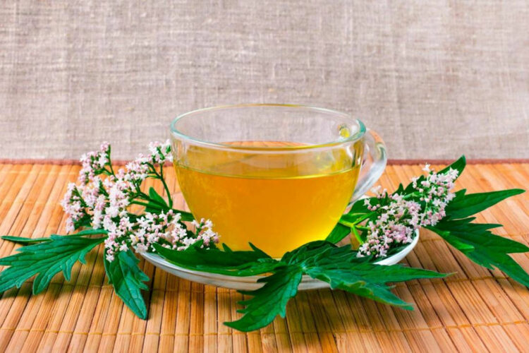 Tisane drenanti per ipertensione