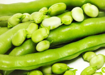 Fave per dimagrire ad aprile: dieta abbassa colesterolo