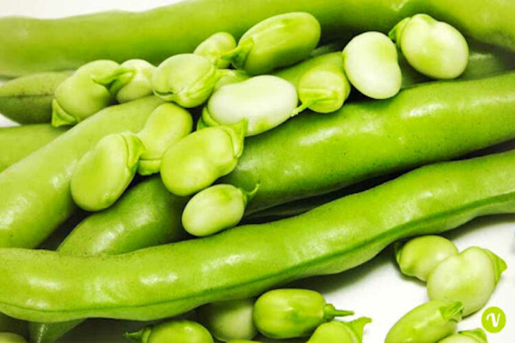 Fave per dimagrire ad aprile: dieta abbassa colesterolo