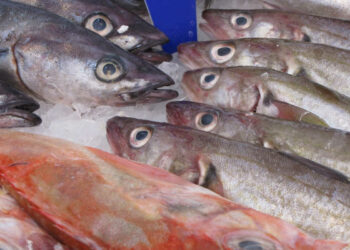 Metodo Apollo, dieta psoriasi e tiroide: cibi si e cibi no