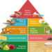 Piramide alimentare dieta Mediterranea: la vera dieta dimagrante