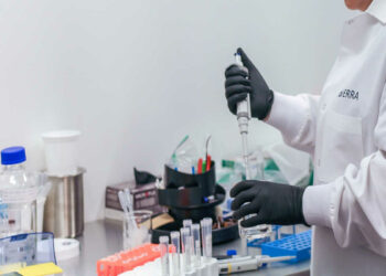 Tumore colon e microbiota intestinale: scoperto batterio metastasi fegato