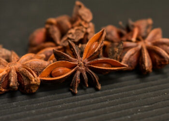 Anice stellato: proprietà stomachiche ed eupeptiche