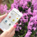 App MosquitoAlert: una istantanea su zanzare