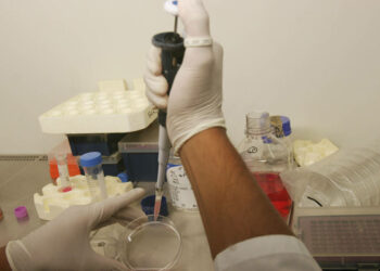 Covid, anticorpi virus durano 8 mesi