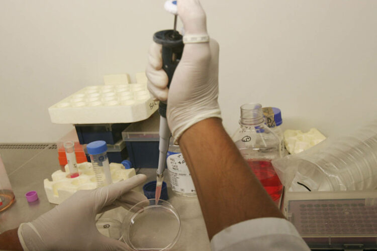 Covid, anticorpi virus durano 8 mesi