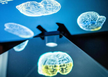 Covid, virus viaggia tra cervello e polmone dal nervo vago