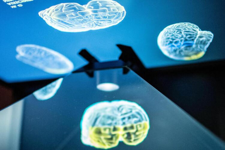 Covid, virus viaggia tra cervello e polmone dal nervo vago