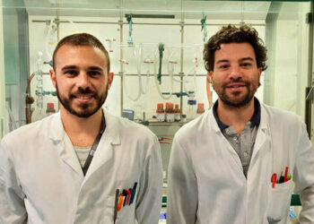 Diabete, obesità e malattie neurodegenerative: un brevetto per la cura