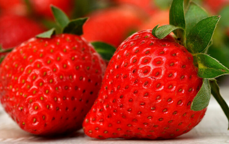 Dimagrire con la dieta delle fragole, menù: quanti chili si possono perdere?