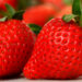 Dimagrire con la dieta delle fragole, menù: quanti chili si possono perdere?
