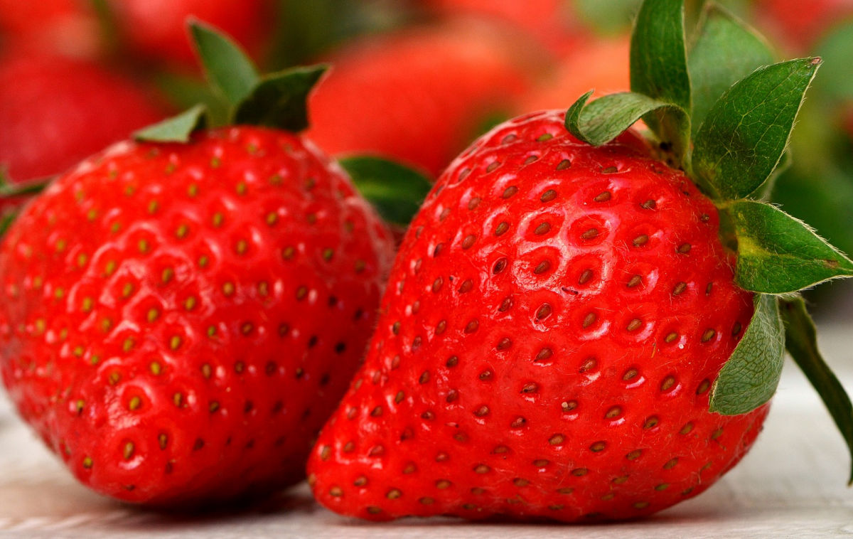 Dimagrire con la dieta delle fragole, menù quanti chili si possono