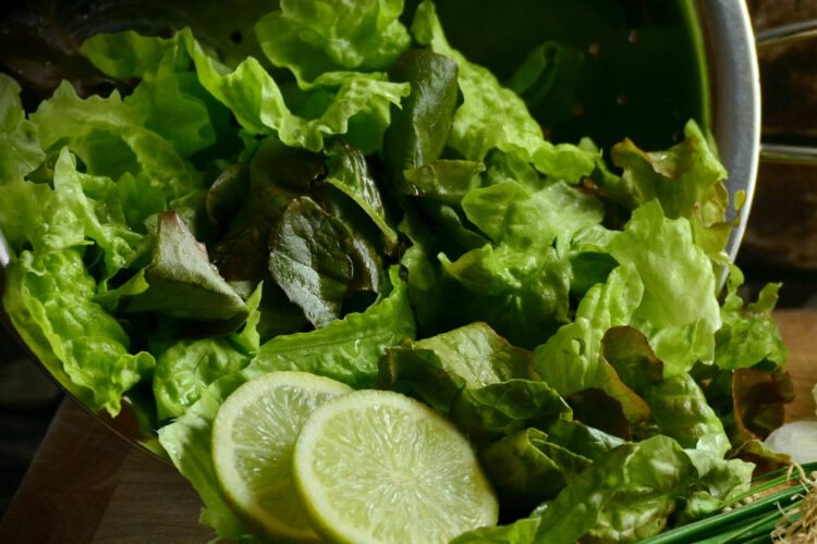 Lattuga nella dieta per dimagrire: fa bene e smorza la fame