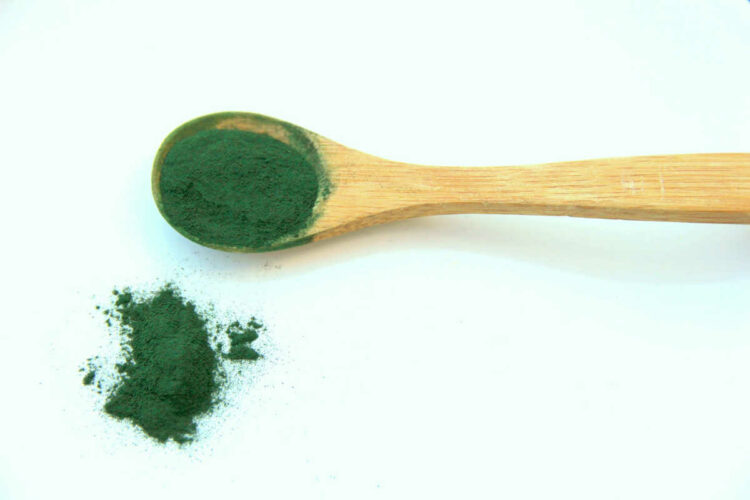 Spirulina per perdere peso: cos'è e come funziona