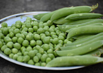 Colesterolo alto: i cibi alleati del benessere per abbassarlo