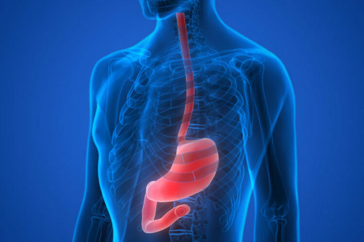 Medicina, tumore esofago: con immunoterapia cresce sopravvivenza