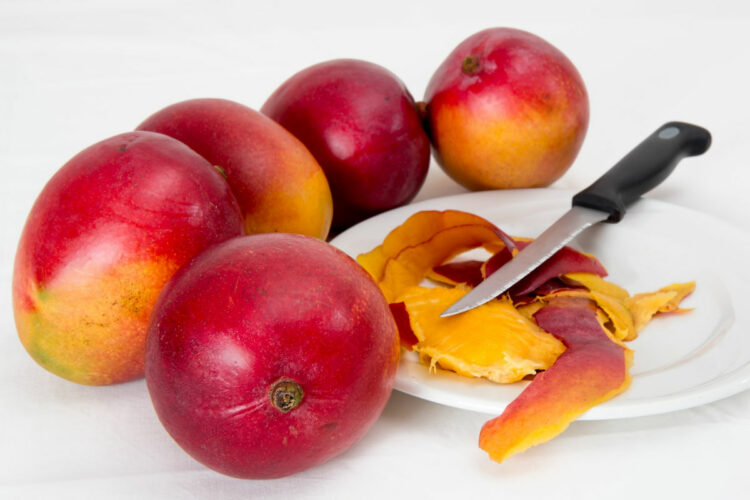 Does mango really make you lose weight?  Properties and diet