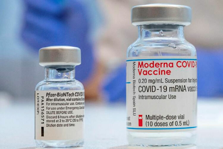 Pfizer e Moderna, Aifa: rari casi di miocardite in giovani