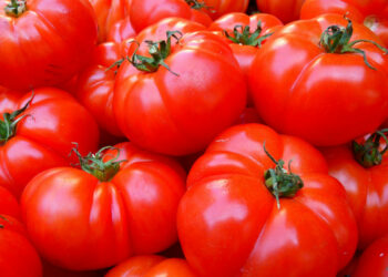 Pomodoro nella dieta contro pressione alta: benefici per salute