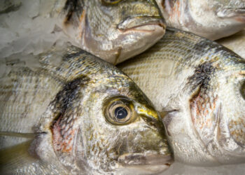 Dieta atlantica contro colesterolo e trigliceridi alti