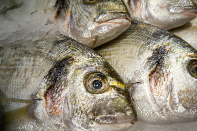 Dieta atlantica contro colesterolo e trigliceridi alti