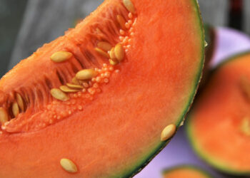 Dieta del melone per un dimagrimento rapido e senza sforzi