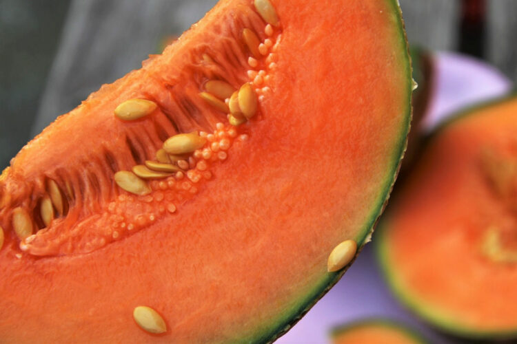 Dieta del melone per un dimagrimento rapido e senza sforzi