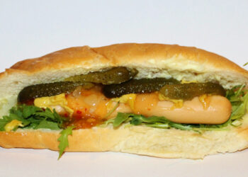 Scoperti nuovi effetti del cibo spazzatura sul corpo