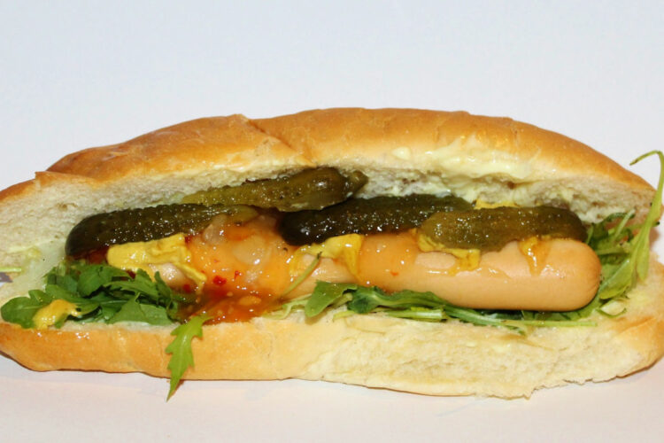 Scoperti nuovi effetti del cibo spazzatura sul corpo